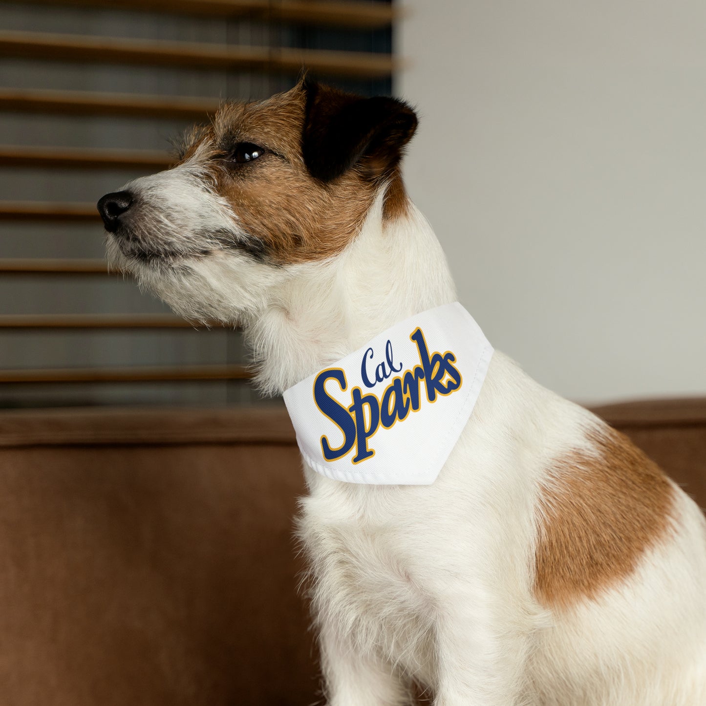 White Cal Sparks, Pet Bandana Collar