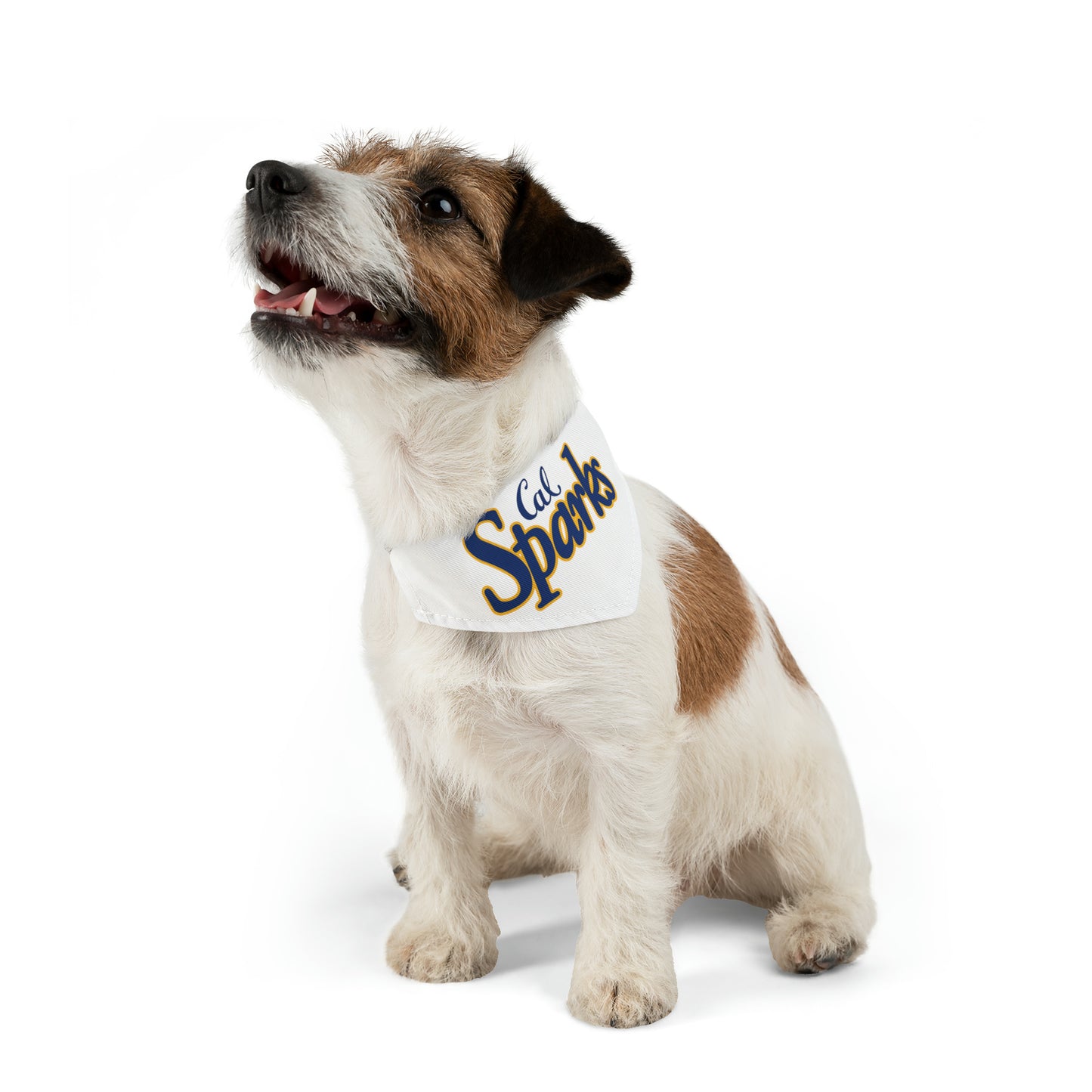 White Cal Sparks, Pet Bandana Collar