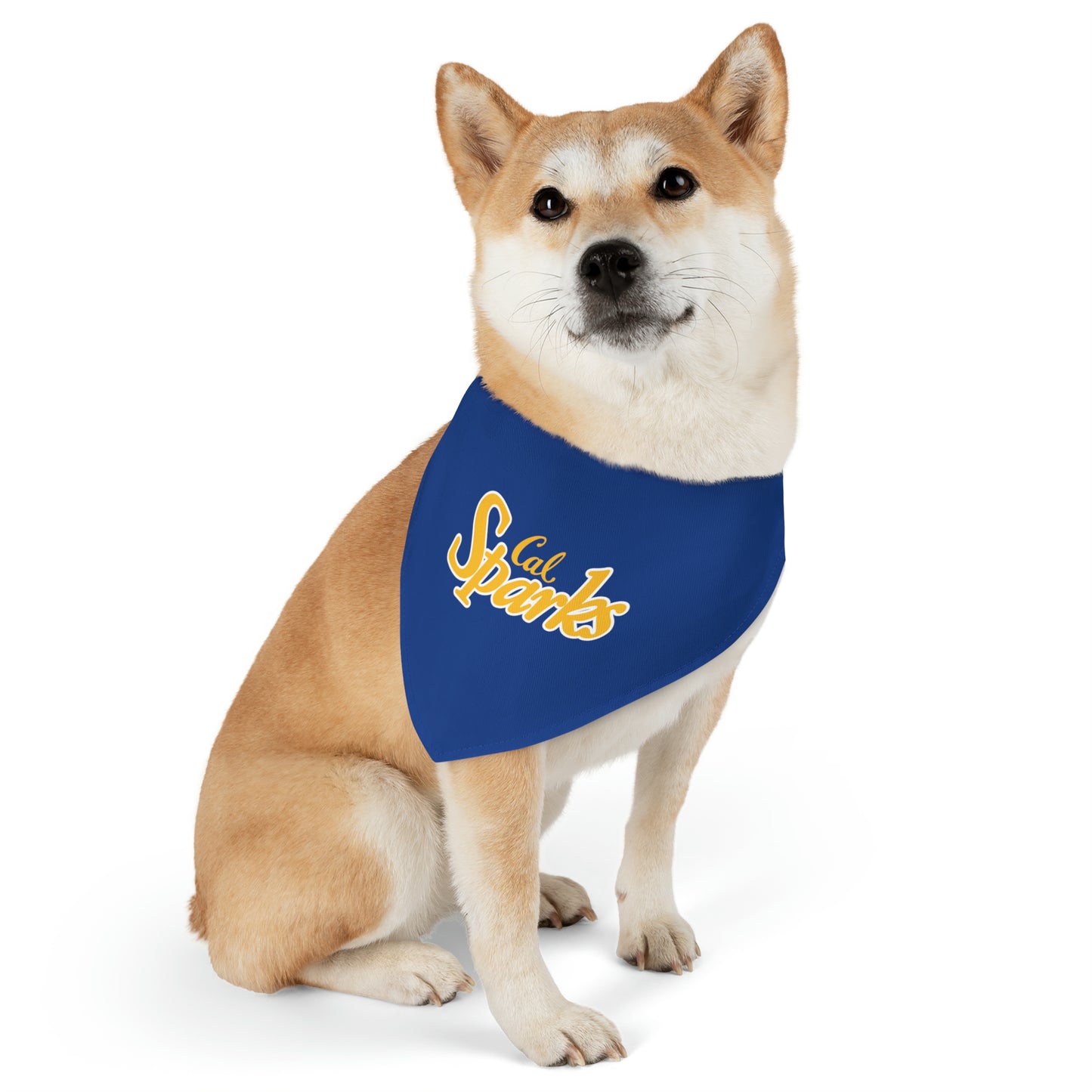 Blue Cal Sparks, Pet Bandana Collar