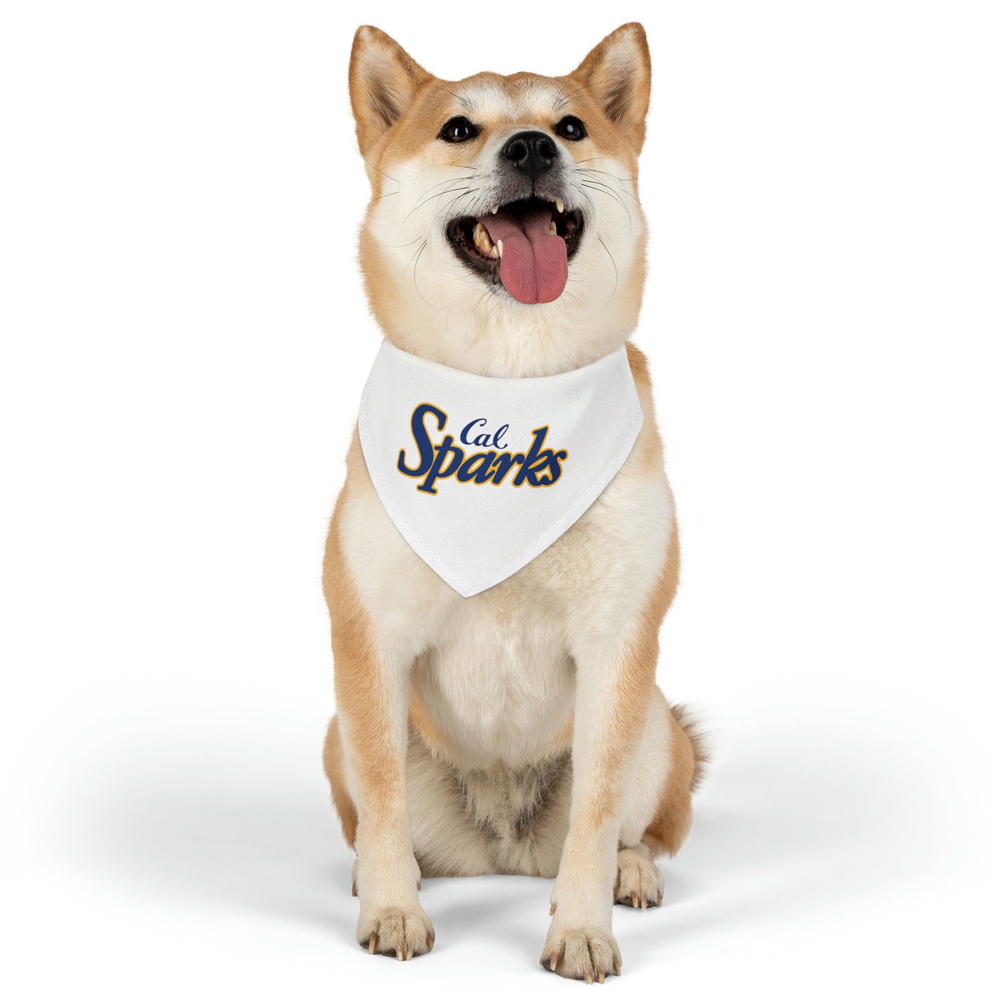 White Cal Sparks, Pet Bandana Collar