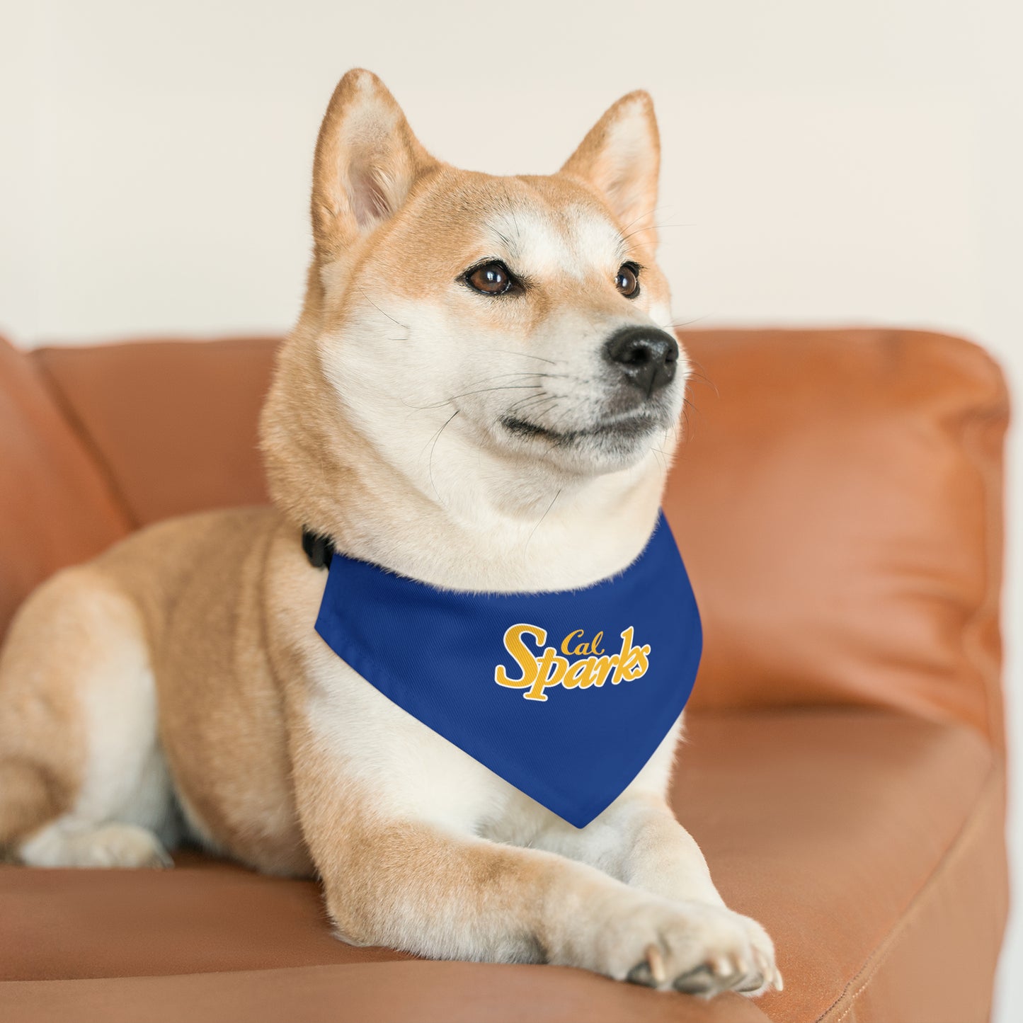 Blue Cal Sparks, Pet Bandana Collar