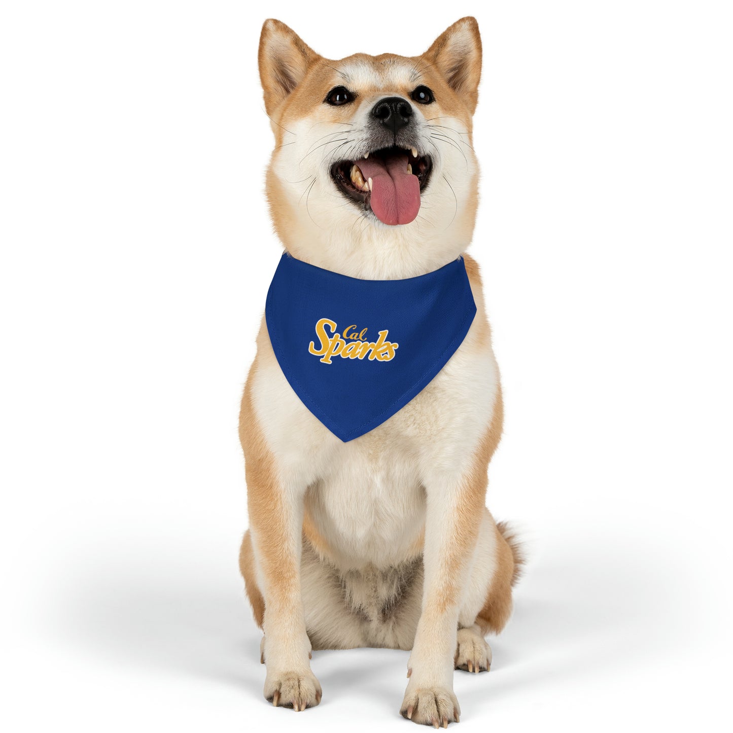 Blue Cal Sparks, Pet Bandana Collar