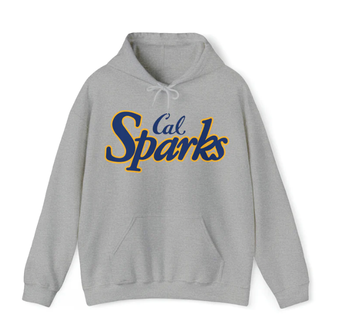 IN STOCK: No Shipping Cost: Cal Sparks, Unisex Heavy Blend™ Hooded Sweatshirt