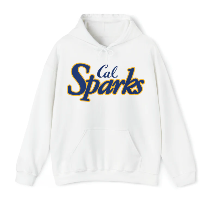 IN STOCK: No Shipping Cost: Cal Sparks, Unisex Heavy Blend™ Hooded Sweatshirt