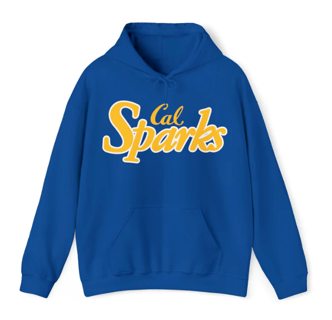 IN STOCK: No Shipping Cost: Cal Sparks, Unisex Heavy Blend™ Hooded Sweatshirt